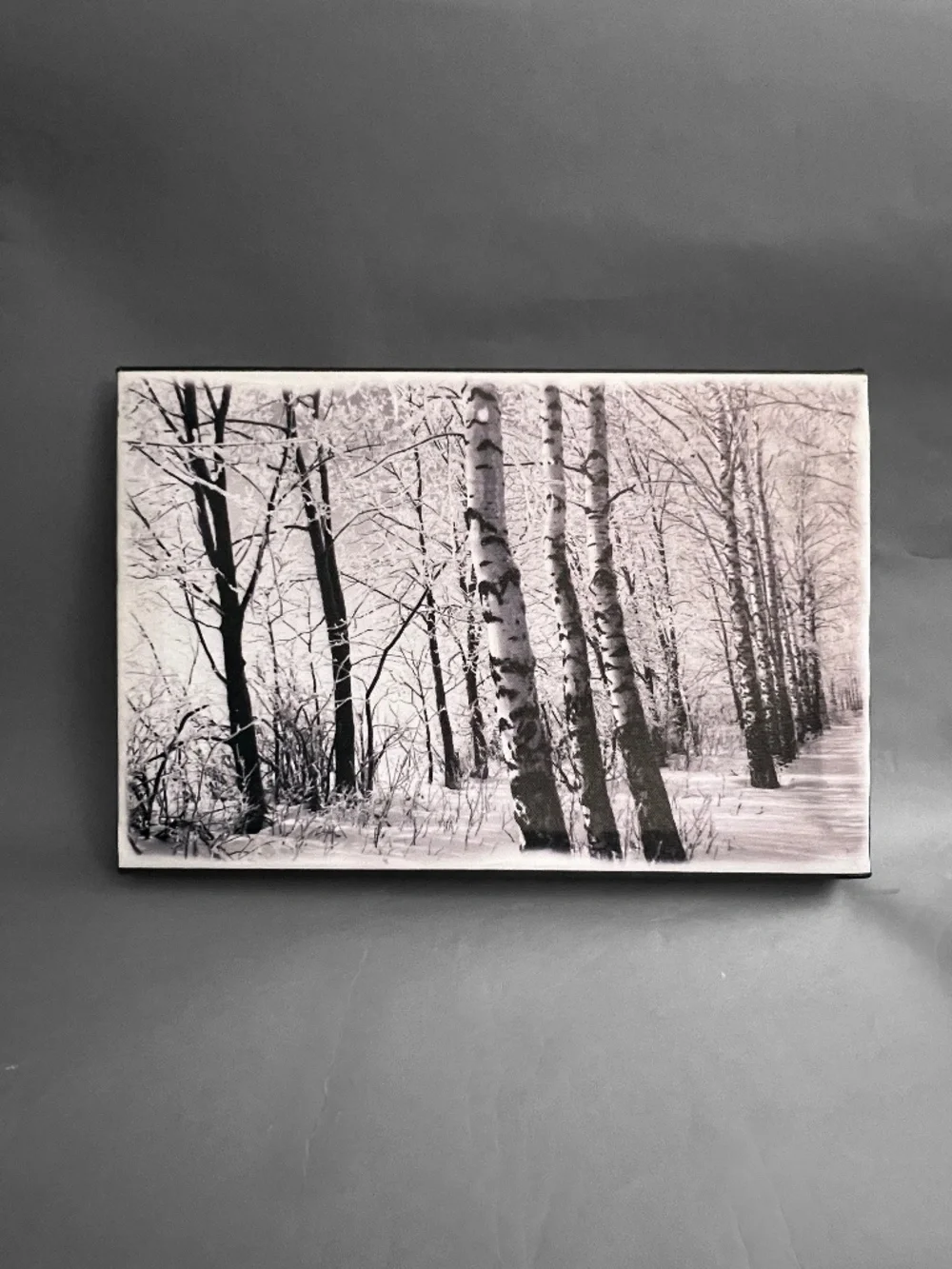 Winter Wonderland Trees Canvas
